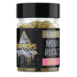 Moon Rock